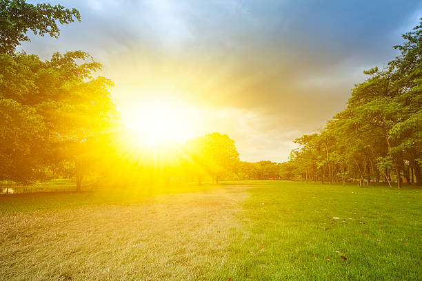 istock Nature landscape and sunset 501364606
