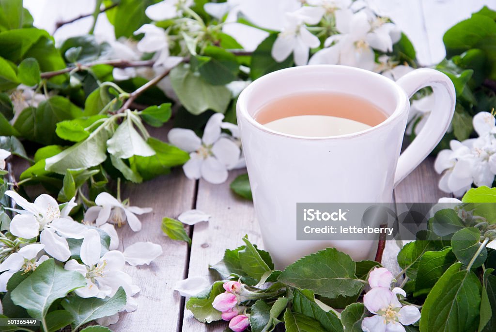 Cup of green tea and blossom Antioxidant Stock Photo