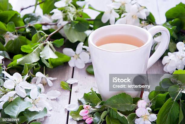 Cup Of Green Tea And Blossom Stock Photo - Download Image Now - Antioxidant, Apple Blossom, Black Tea