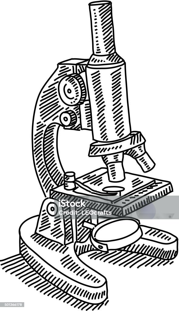 Ilustración de Microscopio De Dibujo y más Vectores Libres de Derechos de  Microscopio - Microscopio, Dibujo, Croquis - iStock