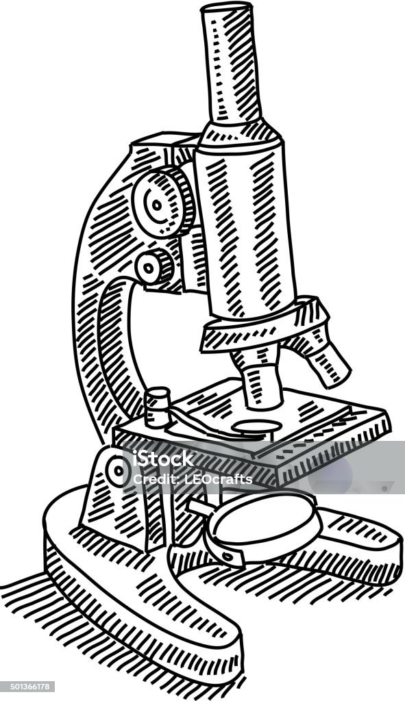 Ilustración de Microscopio De Dibujo y más Vectores Libres de Derechos de Microscopio - Microscopio, Dibujo, Croquis - iStock Ilustración de Microscopio De Dibujo y más Vectores Libres de Derechos de Microscopio - Microscopio, Dibujo, Croquis - iStock
