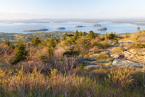 istock Cadillac Mountain with Porcupine Islands 501366419