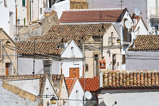 istock Panoramic view of Pisticci. Basilicata. Italy. 501366867