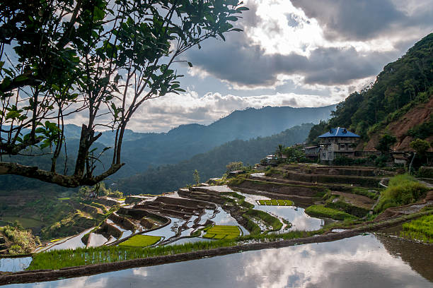 vista del villaggio poitan terrazze di riso vicino - ifugao foto e immagini stock
