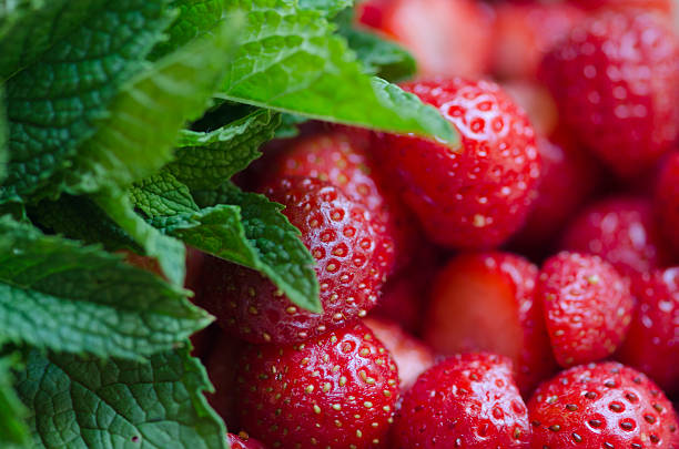 Strawberries and mint stock photo