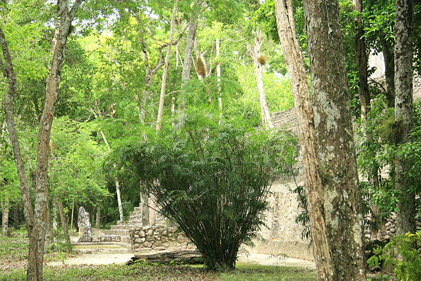 Mask Temple, at Lamanai Archaeological Site in the Orange Walk District, Belize.
