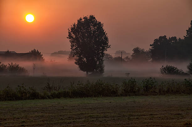 Foggy Sunrise stock photo
