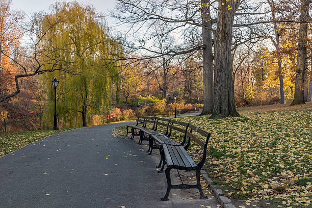 istock Central Park, New York City 501384560