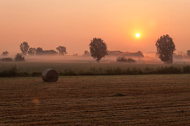 Foggy Sunrise stock photo