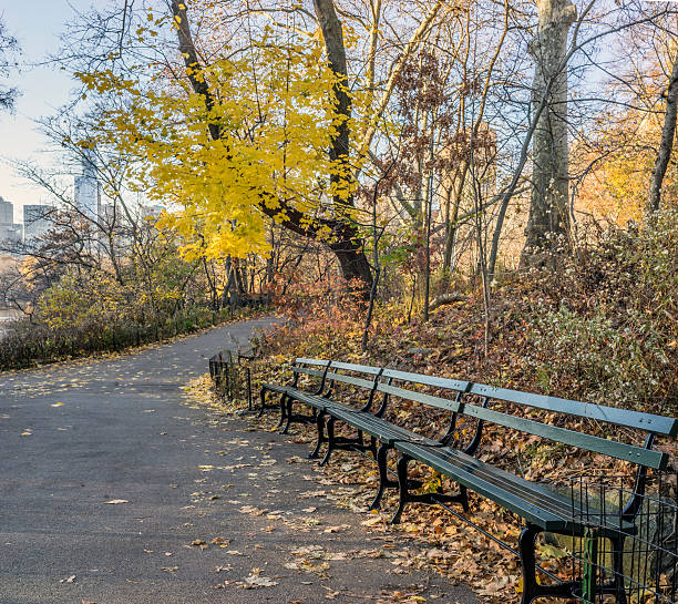 istock Central Park, New York City 501384618