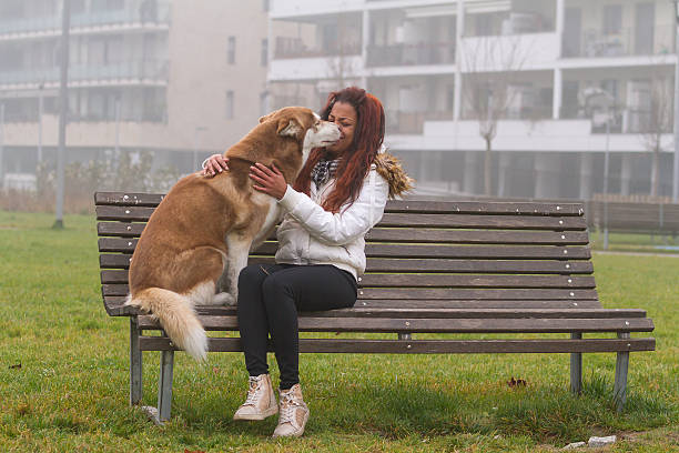 Young black woman and her Siberian Husky on park bench