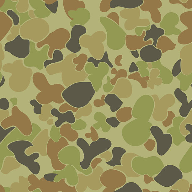 auscam wzór. - camouflage camouflage clothing military pattern stock illustrations