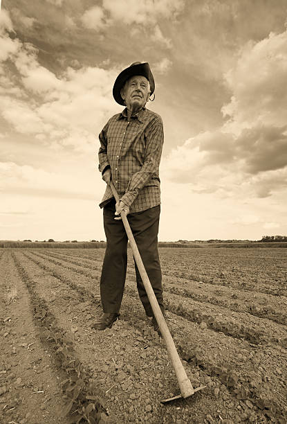 istock Peasant with hoe in the field 501387806