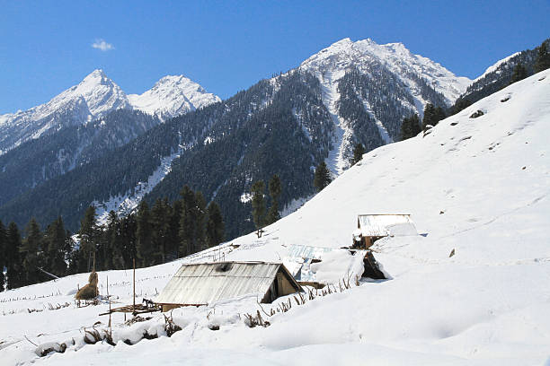 istock Winter in Aru, Kashmir 501388418