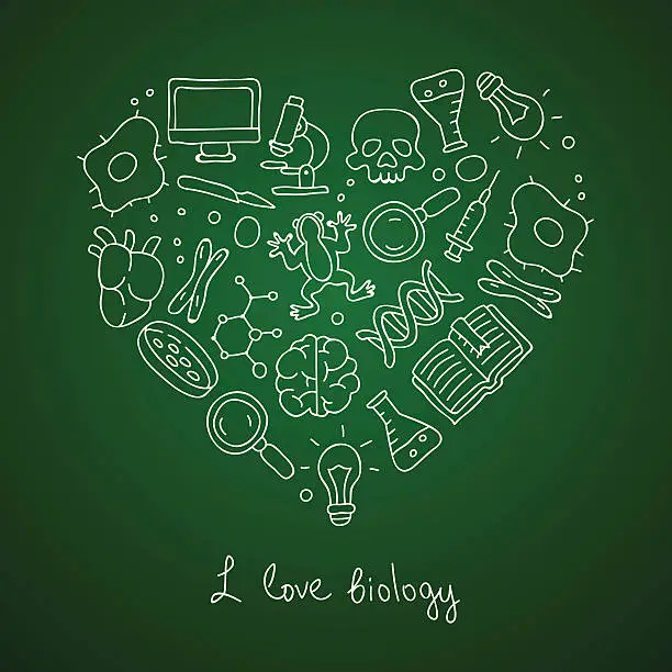 Vector illustration of Biology. Icons in the shape of a heart