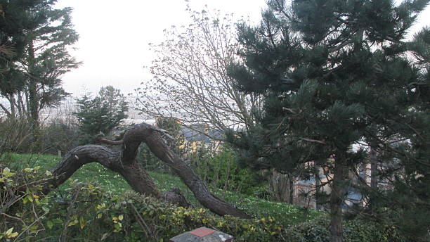 istock Garden of Houlgate 501390462