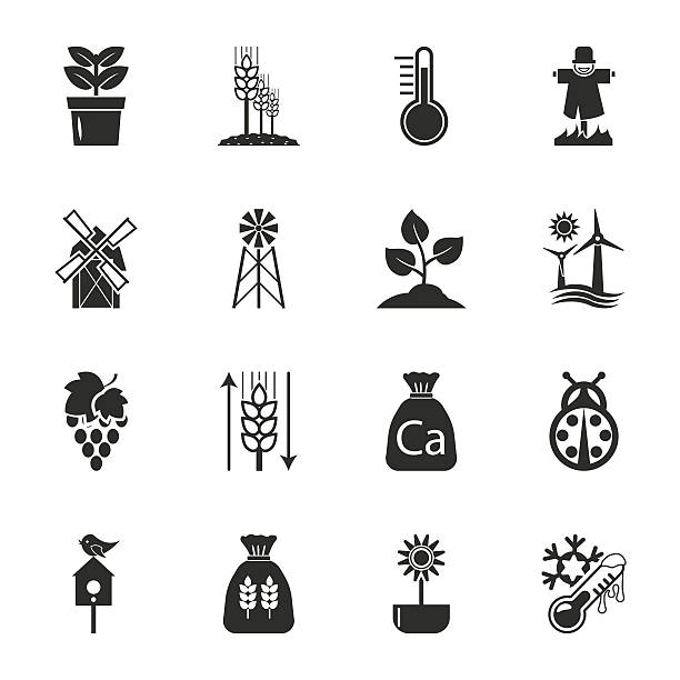 illustrazioni stock, clip art, cartoni animati e icone di tendenza di farm, giardinaggio set di 16 icone universali per web e dispositivi mobili - farina insetti