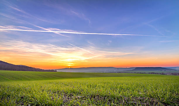 istock Green Field and Beautiful Sunset. 501390916