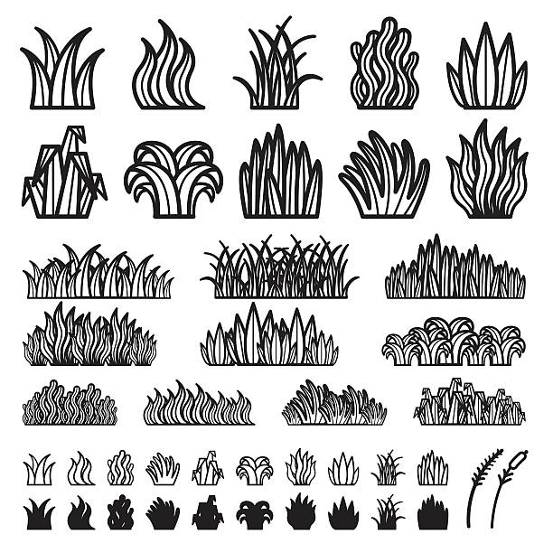 трава вектор - травинка stock illustrations