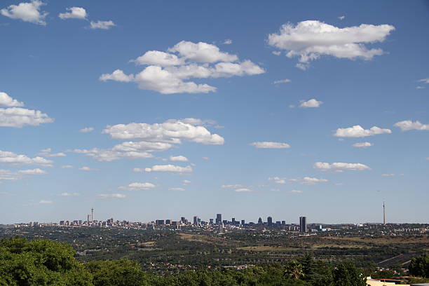 istock Johannesburg skyline 501396264