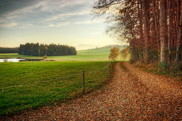 Last light of day illuminating a leaf-covered one lane country road winding into a farmland scenic with mountains in the distance.