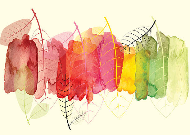 Abstract background with leaves to show season change ,vector Abstract background with leaves to show season change ,vector watercolor brush design ,vector illustration ,invite card watercolor nature stock illustrations