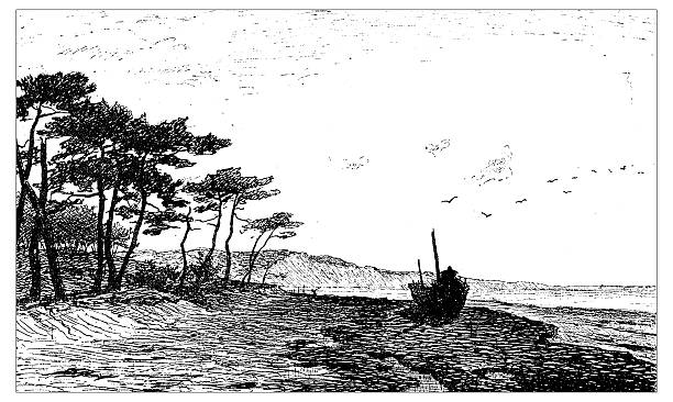 ilustrações de stock, clip art, desenhos animados e ícones de antigo ilustração de dunas de areia de praia pylat e - engraving engraved image coastline illustration and painting