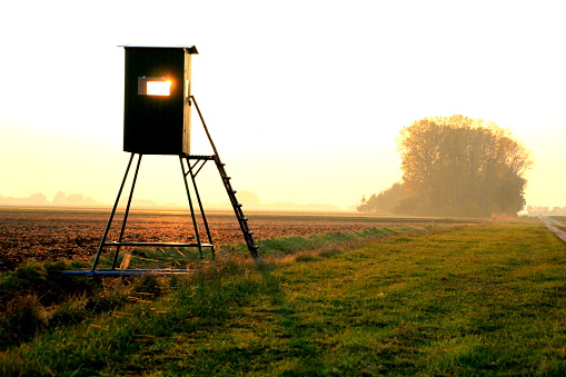 High chair in the field at sunset