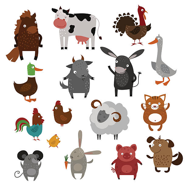 zwierzęta hodowlane zwierzęta wektor kreskówka - cute cow vector animal stock illustrations