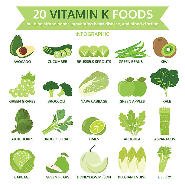 twenty vitamin k foods, info graphic, food vector twenty vitamin k foods, info graphic, food vector illustration celery heart stock illustrations