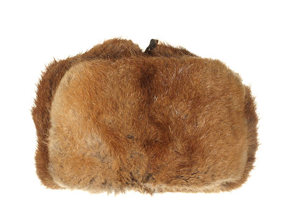 istock Winter fur hat brown isolated on white background. 501424002