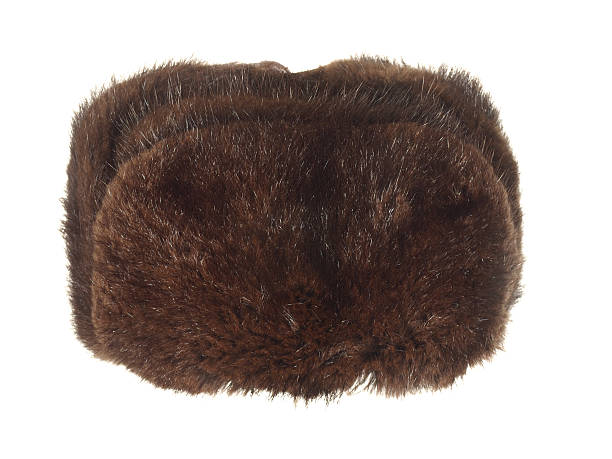 istock Winter fur hat brown isolated on white background. 501424360
