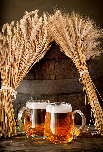 dos vasos de cerveza de trigo y cebada - mug beer barley wheat fotografías e imágenes de stock