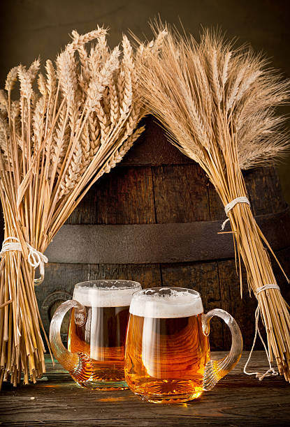 두 맥주잔, 밀, 보리 - mug beer barley wheat 뉴스 사진 이미지