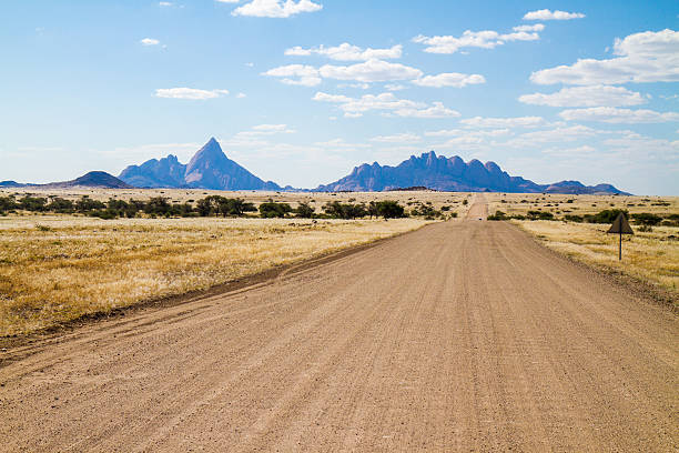 나미비아 비포장도로 ~스피치코프 - savannah africa steppe namibia 뉴스 사진 이미지