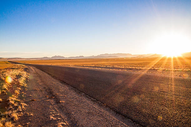 아스팔트 도로 통해 스텝 지대 - savannah africa steppe namibia 뉴스 사진 이미지
