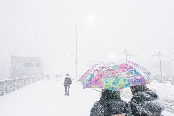 snowy day istanbul, Turkey - February 18, 2015: people walking under heavy snow with umbrellas in Galata Bridge, istanbul galata photos stock pictures, royalty-free photos & images