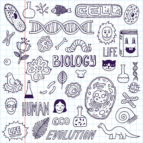 illustrations, cliparts, dessins animés et icônes de biologie.  illustrations réalisées à la main.  illustration vectorielle.  carnet scolaire. - dna science child education