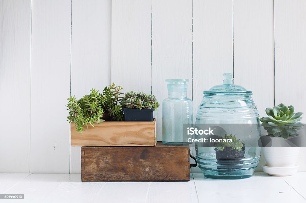 Vintage home decor Vintage home decor: houseplants, green succulents, old wooden boxes and vintage blue glass bottles on white wooden board, cozy home interior. Apartment Stock Photo