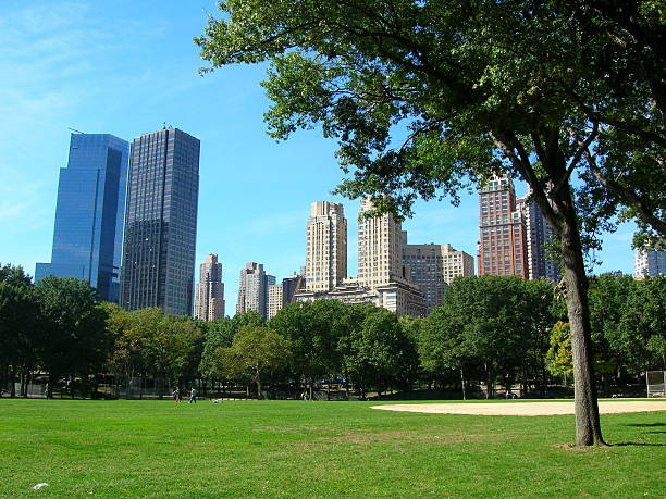 istock Central park at sunny day, New York City 501442189