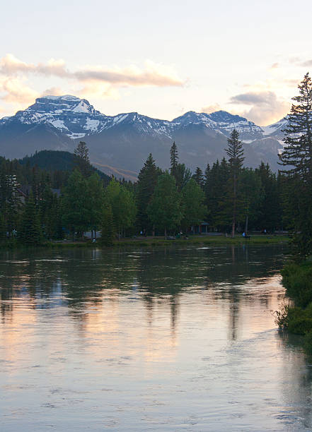 istock Bow River, Banff National Park at Dusk 501445353