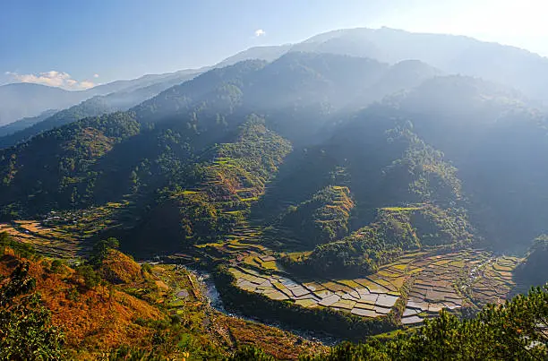overview of the rice-terraces of Sagada, Luzon, Philippines