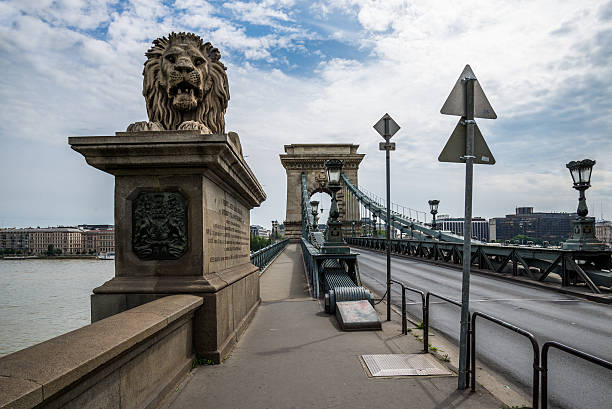 цепной мост будапешта. - chain bridge budapest bridge lion стоковые фото и изображения