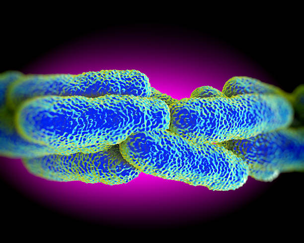 istock Legionella Pneumophila Bacteria, artwork 501447415