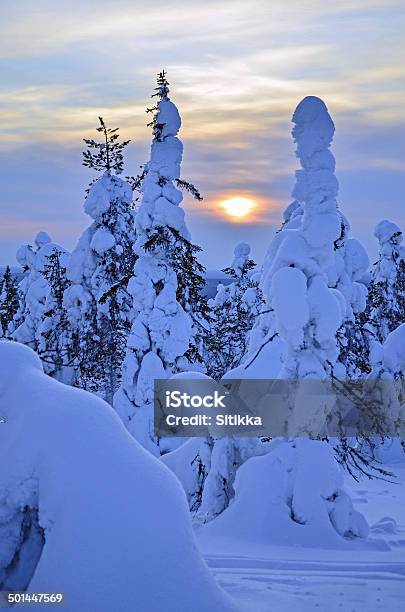 Zachód Słońca W Lapland - zdjęcia stockowe i więcej obrazów Bez ludzi - Bez ludzi, Bezchmurne niebo, Biegi narciarskie