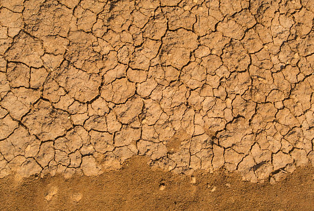 Cracked mud stock photo