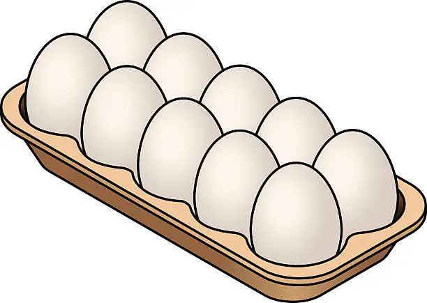 Vector illustration of Eggs