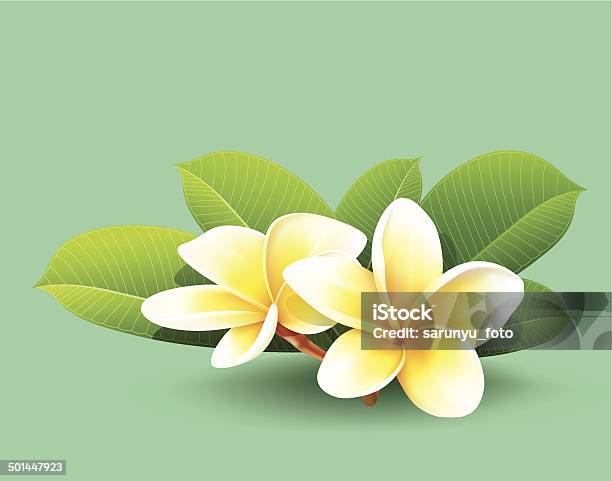 フランジパニの花のタイグリーンの葉 - 黄色のベクターアート素材や画像を多数ご用意 - 黄色, イラストレーション, カードゲーム