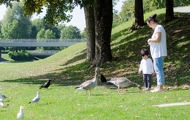Little boy and duck