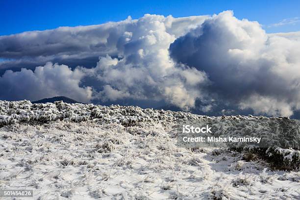 Photo libre de droit de Frosty Matin Dans Les Montagnes banque d'images et plus d'images libres de droit de 2015 - 2015, Arbre, Aube